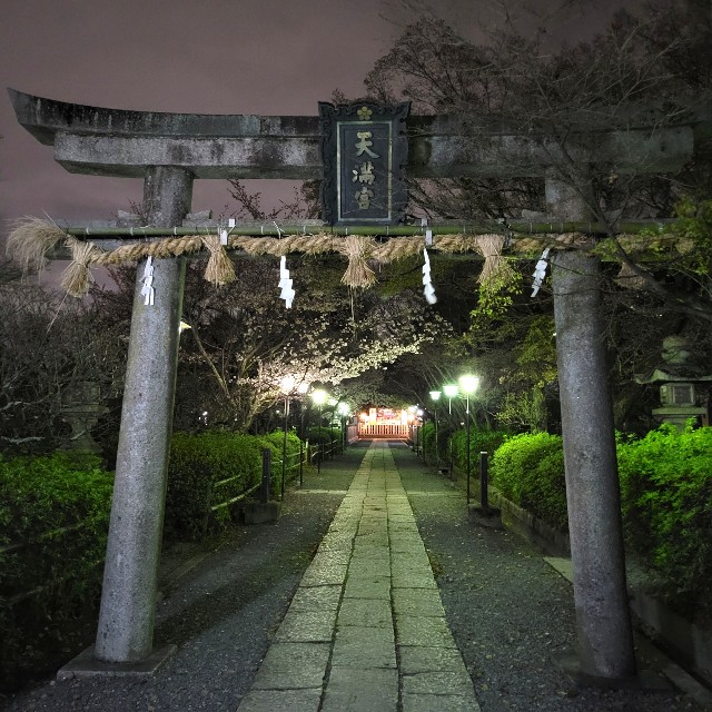 f:id:atoriatoriatori:20220401081349j:image f:id:atoriatoriatori:20220401081349j:image