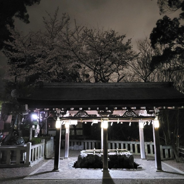 f:id:atoriatoriatori:20220401081419j:image f:id:atoriatoriatori:20220401081419j:image