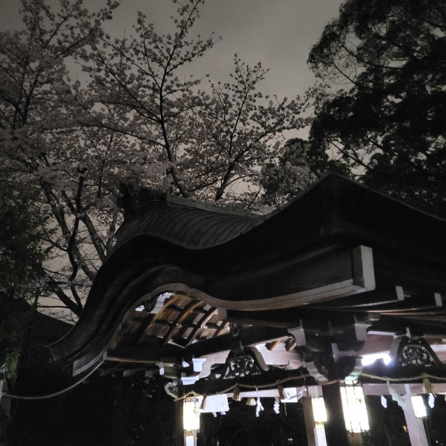 f:id:atoriatoriatori:20220401081427j:image f:id:atoriatoriatori:20220401081427j:image