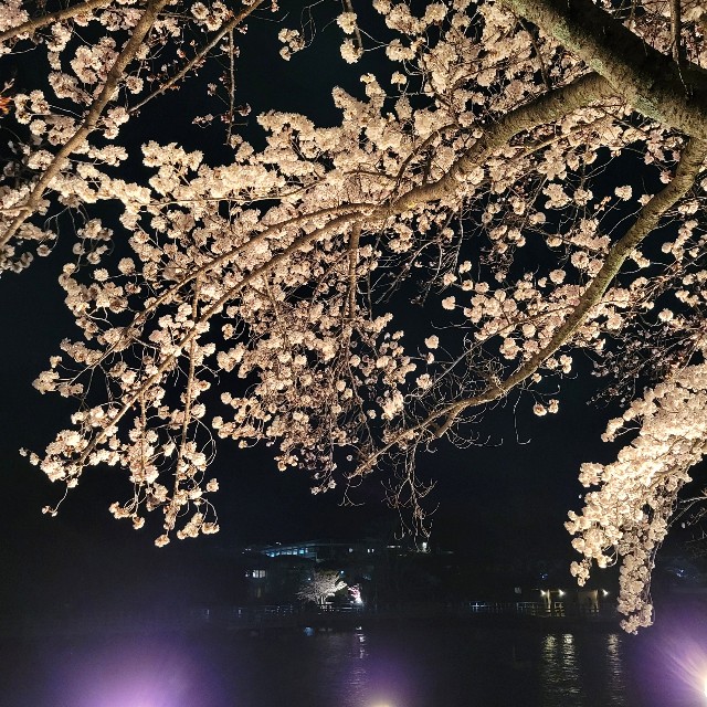 f:id:atoriatoriatori:20220401081433j:image f:id:atoriatoriatori:20220401081433j:image