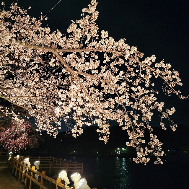 f:id:atoriatoriatori:20220401172436j:image f:id:atoriatoriatori:20220401172436j:image