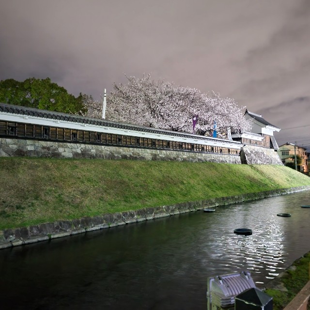 f:id:atoriatoriatori:20220401175248j:image f:id:atoriatoriatori:20220401175248j:image