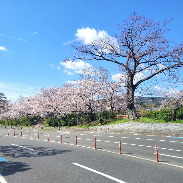 f:id:atoriatoriatori:20220402102236j:image