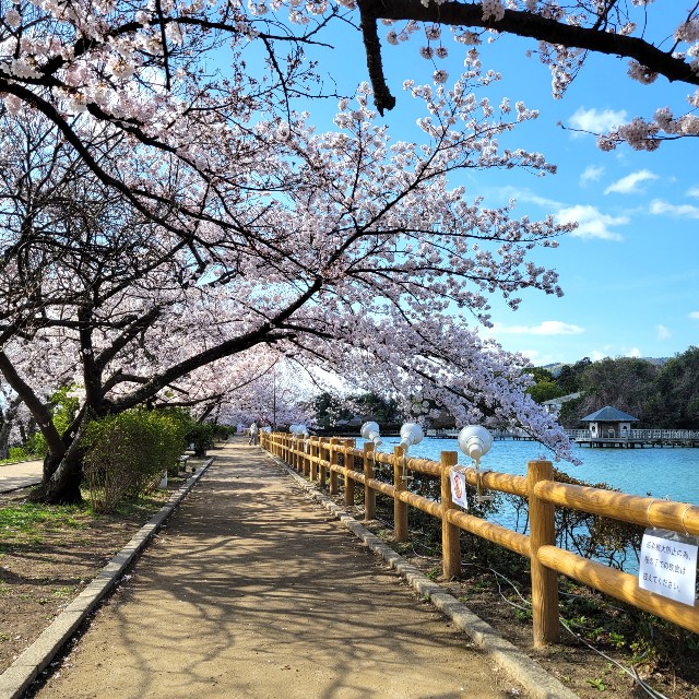 f:id:atoriatoriatori:20220402103150j:image