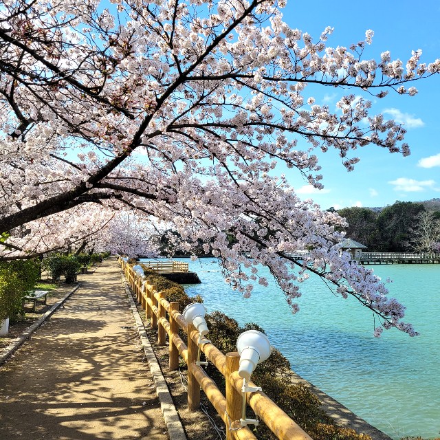 f:id:atoriatoriatori:20220402103157j:image