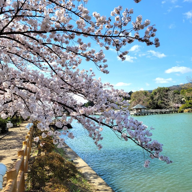 f:id:atoriatoriatori:20220402103206j:image