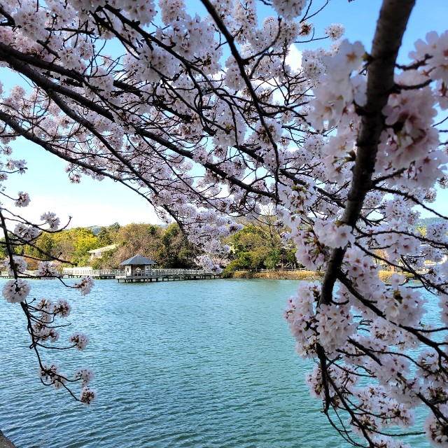 f:id:atoriatoriatori:20220402103223j:image