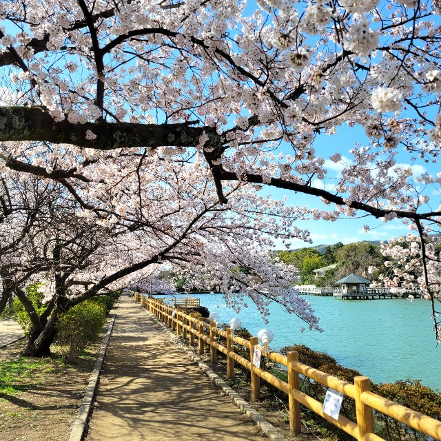 f:id:atoriatoriatori:20220402103229j:image