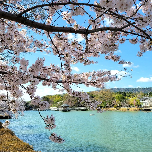 f:id:atoriatoriatori:20220403115746j:image