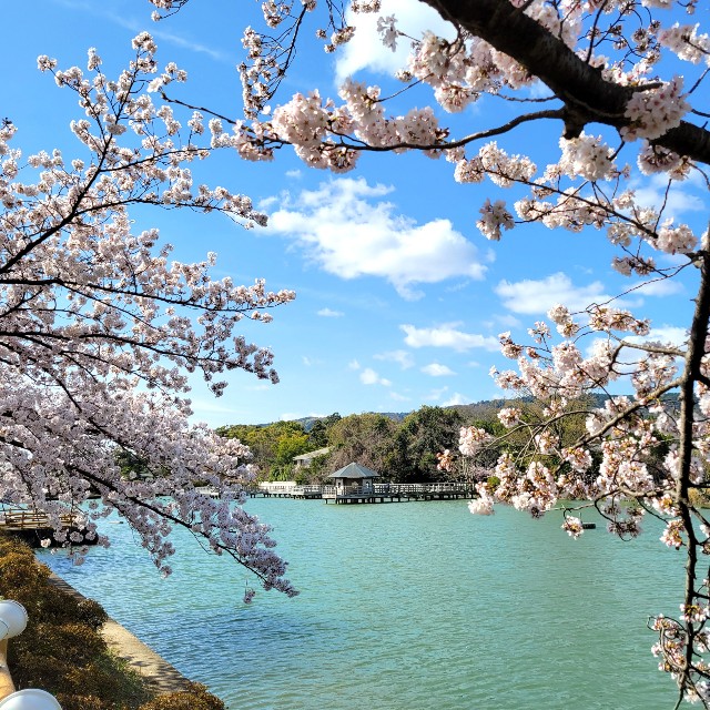 f:id:atoriatoriatori:20220403120200j:image