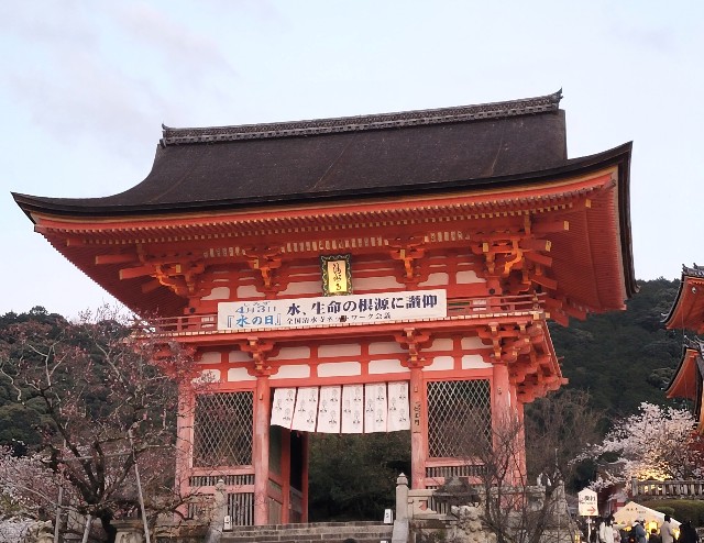 f:id:atoriatoriatori:20220404215518j:image