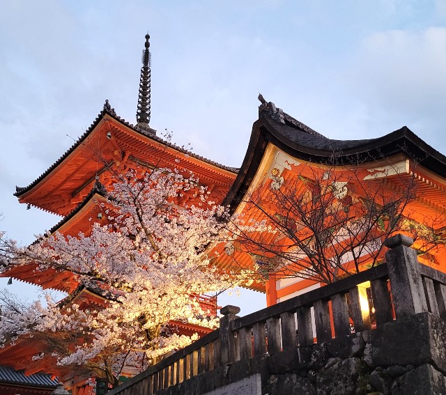 f:id:atoriatoriatori:20220404215542j:image