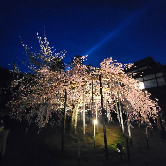 f:id:atoriatoriatori:20220405174206j:image