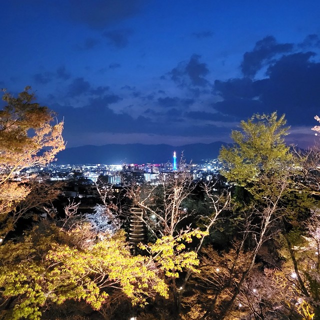 f:id:atoriatoriatori:20220405174214j:image