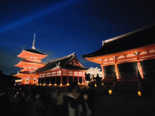 f:id:atoriatoriatori:20220405174221j:image