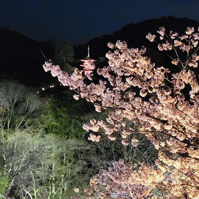 f:id:atoriatoriatori:20220405174624j:image