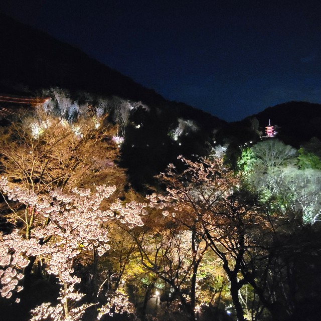 f:id:atoriatoriatori:20220405174635j:image