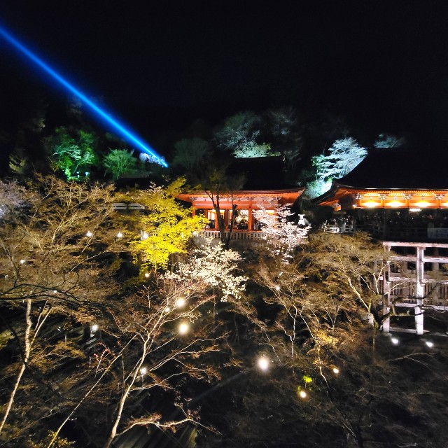 f:id:atoriatoriatori:20220405180358j:image