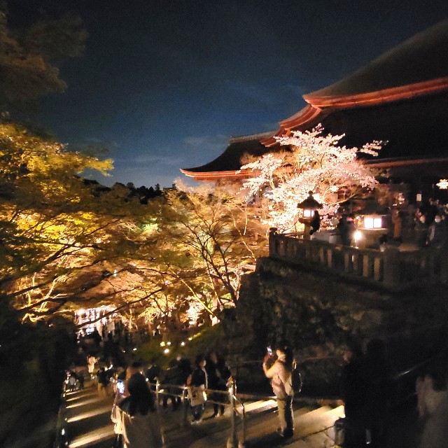 f:id:atoriatoriatori:20220405181619j:image