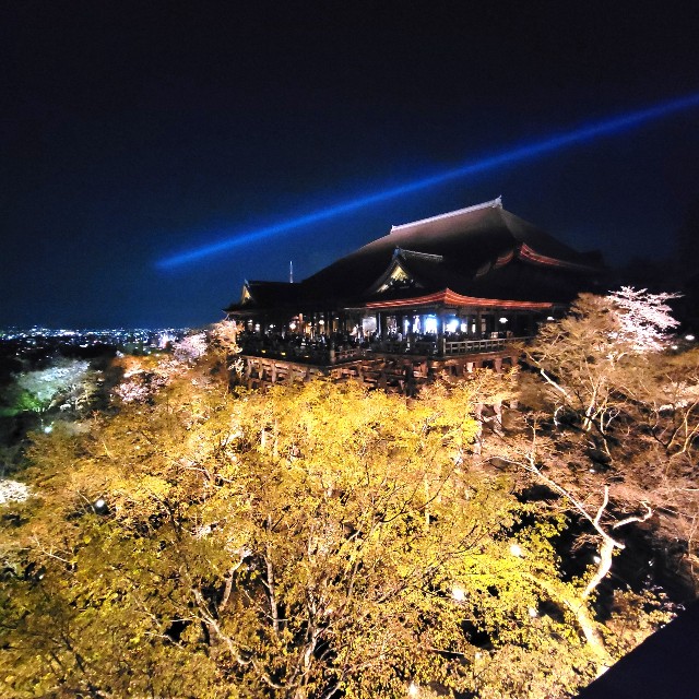 f:id:atoriatoriatori:20220405181630j:image