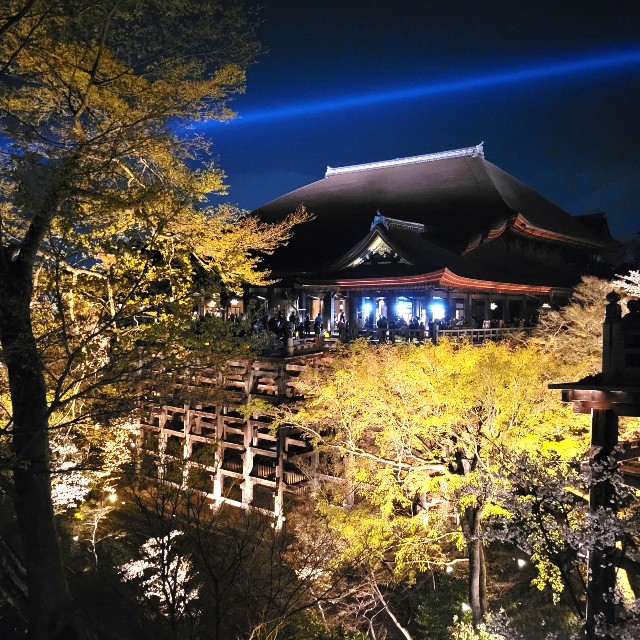 f:id:atoriatoriatori:20220405195933j:image