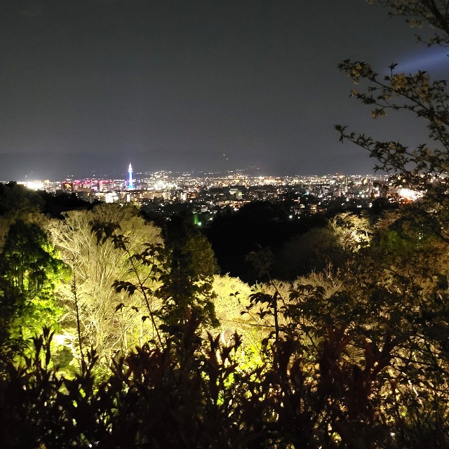 f:id:atoriatoriatori:20220405195947j:image