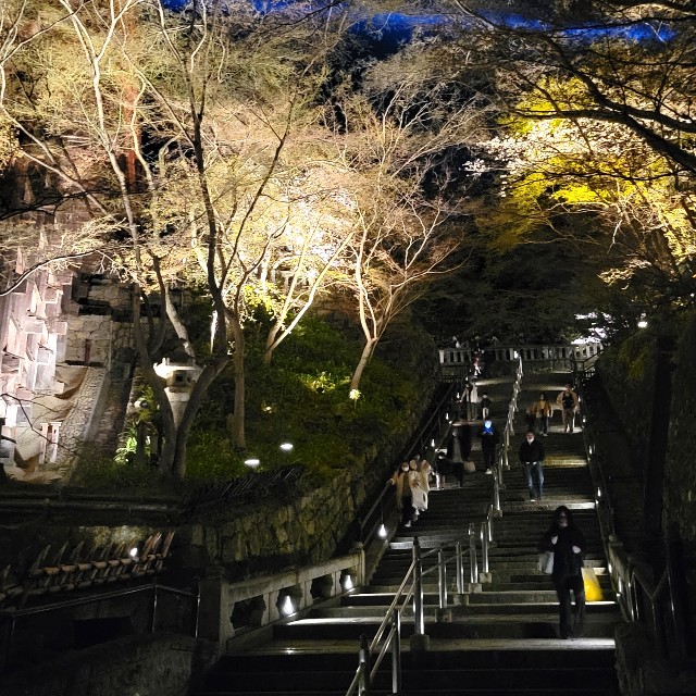 f:id:atoriatoriatori:20220405201735j:image