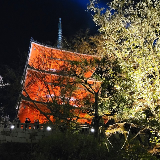 f:id:atoriatoriatori:20220405201742j:image