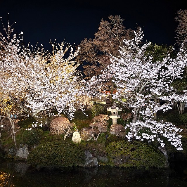 f:id:atoriatoriatori:20220405202243j:image