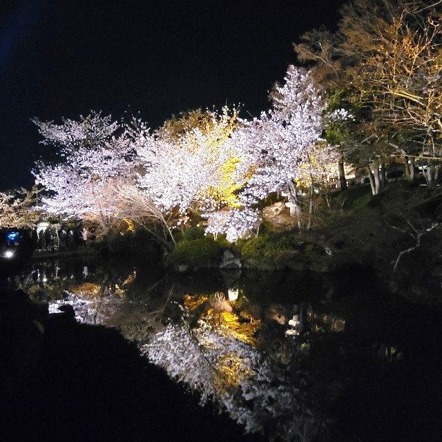 f:id:atoriatoriatori:20220405202250j:image