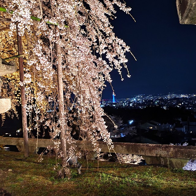 f:id:atoriatoriatori:20220405202539j:image