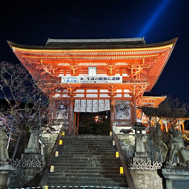 f:id:atoriatoriatori:20220405202545j:image