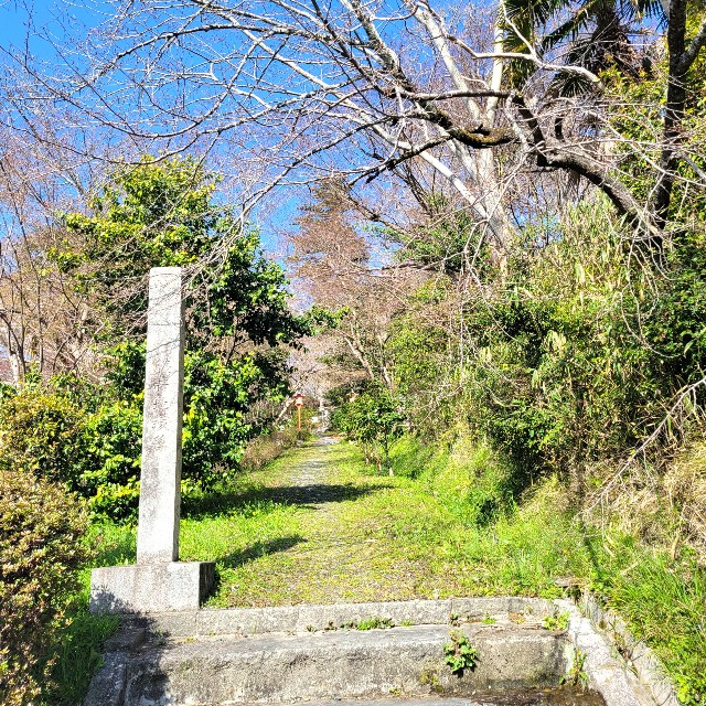 f:id:atoriatoriatori:20220407073316j:image