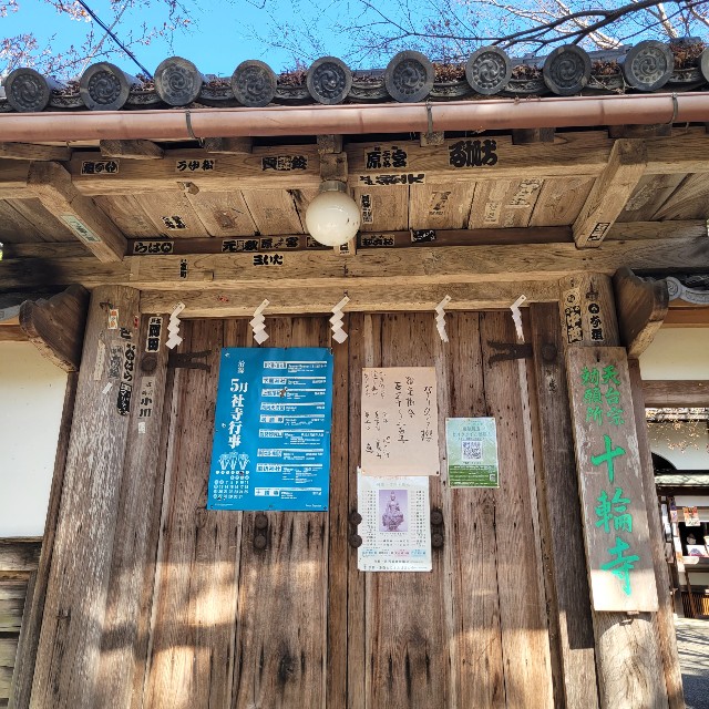 f:id:atoriatoriatori:20220407073329j:image