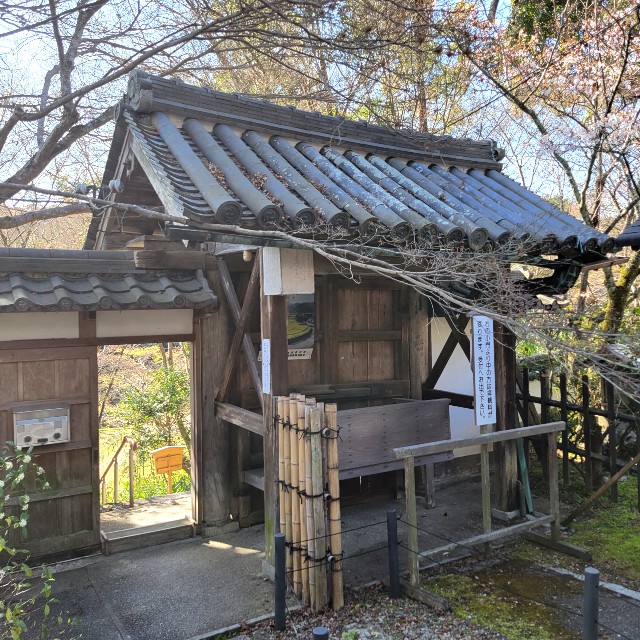 f:id:atoriatoriatori:20220407074531j:image