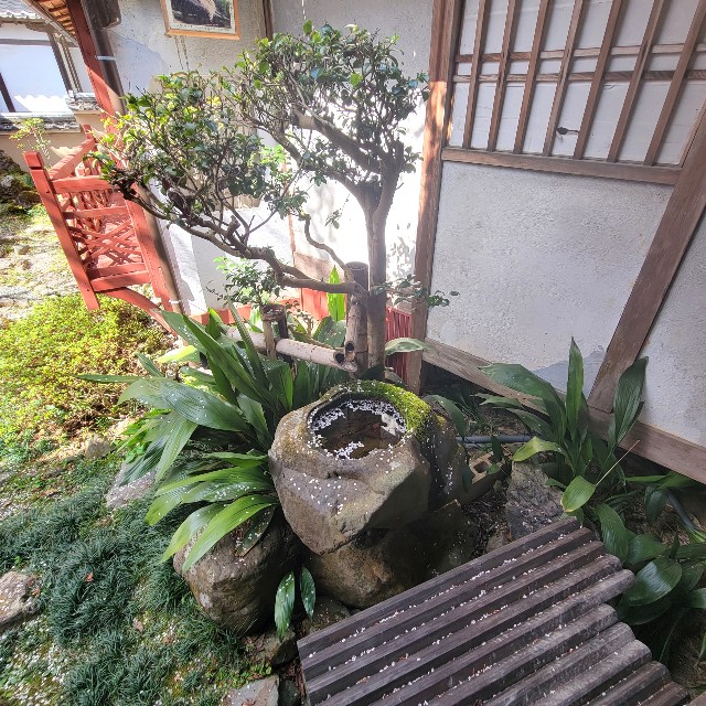 f:id:atoriatoriatori:20220407093419j:image