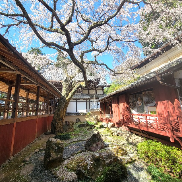 f:id:atoriatoriatori:20220407093426j:image