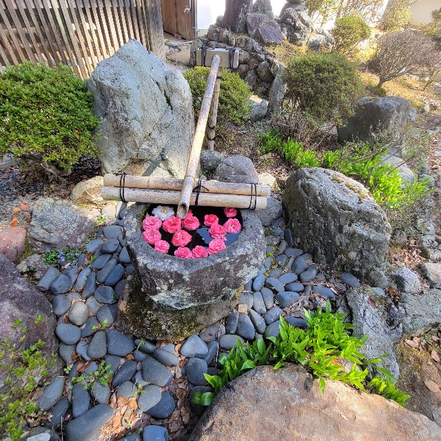 f:id:atoriatoriatori:20220407094059j:image