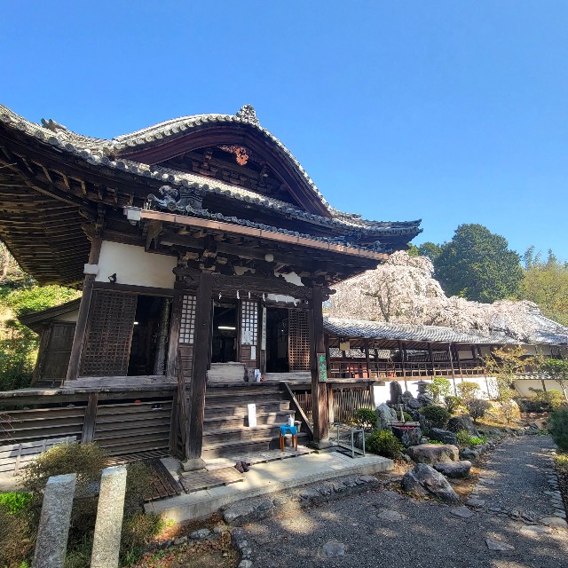 f:id:atoriatoriatori:20220407103919j:image