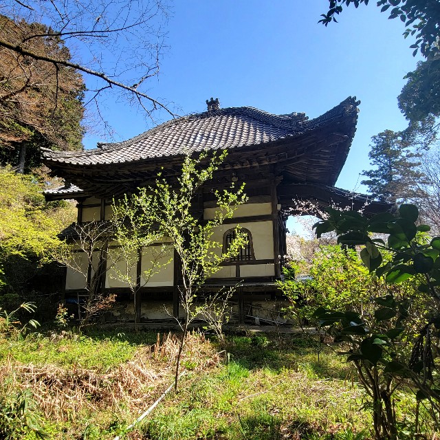 f:id:atoriatoriatori:20220407110515j:image