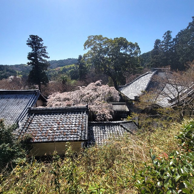 f:id:atoriatoriatori:20220407120036j:image