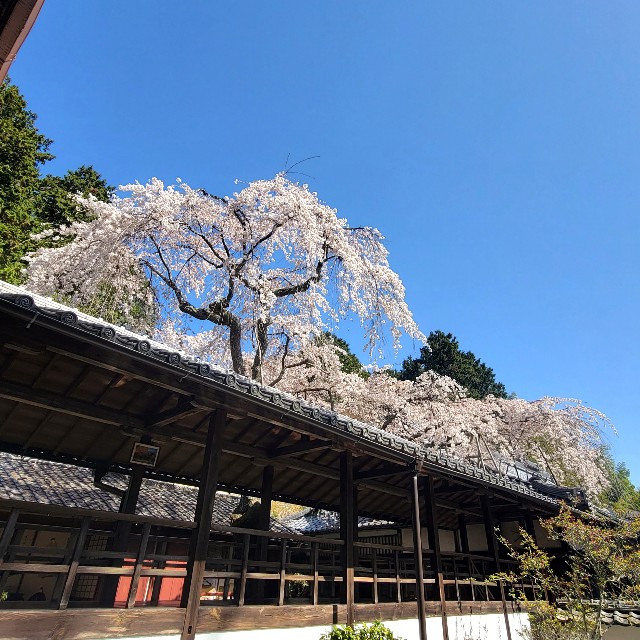 f:id:atoriatoriatori:20220407183837j:image