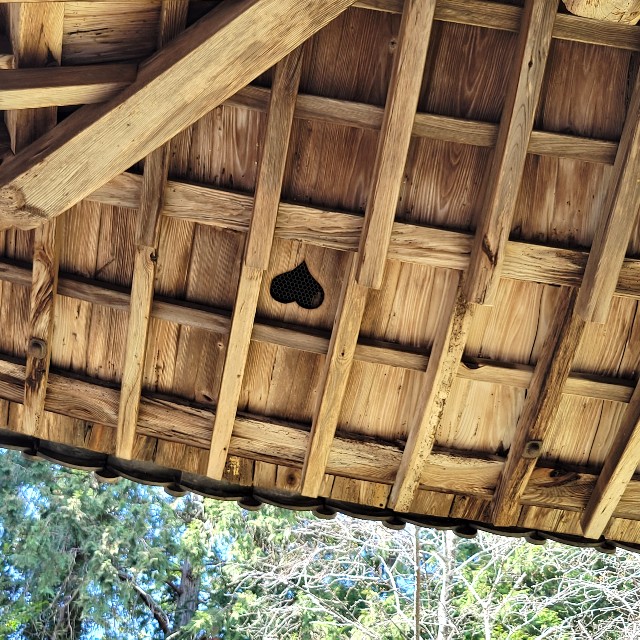 f:id:atoriatoriatori:20220407183952j:image