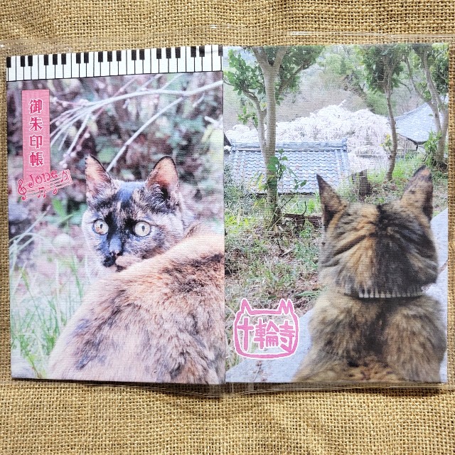 f:id:atoriatoriatori:20220407205411j:image