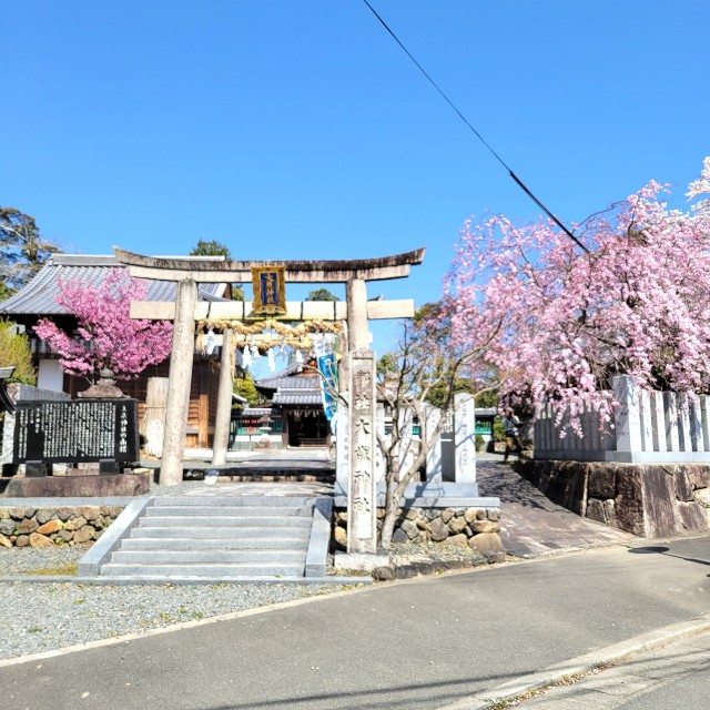 f:id:atoriatoriatori:20220408192008j:image