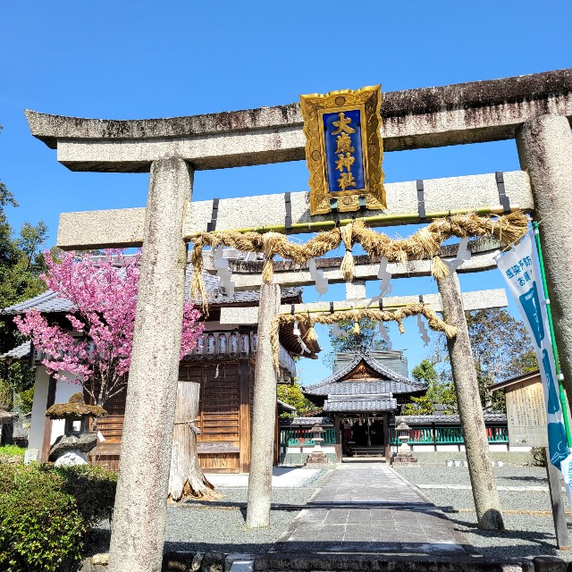 f:id:atoriatoriatori:20220408193822j:image