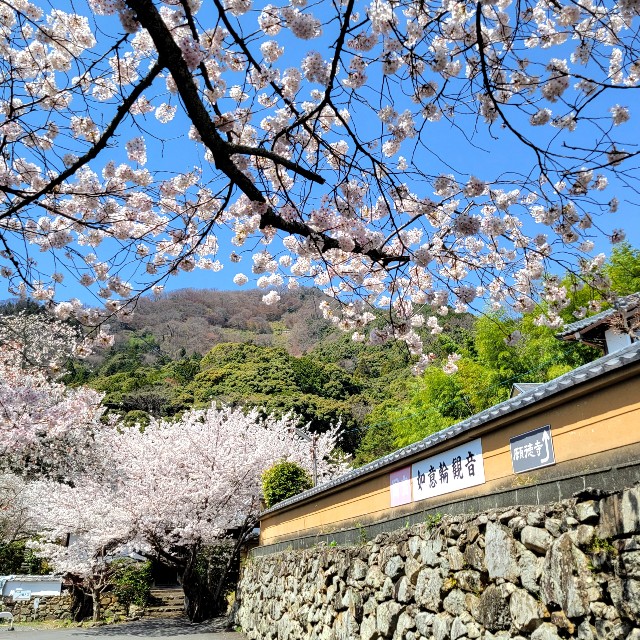 f:id:atoriatoriatori:20220410165035j:image f:id:atoriatoriatori:20220410165035j:image