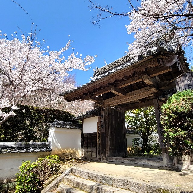 f:id:atoriatoriatori:20220410165611j:image f:id:atoriatoriatori:20220410165611j:image