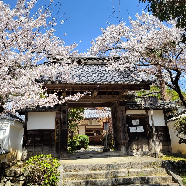 f:id:atoriatoriatori:20220410165618j:image f:id:atoriatoriatori:20220410165618j:image