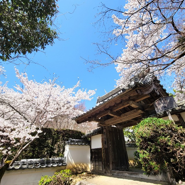 f:id:atoriatoriatori:20220410165624j:image f:id:atoriatoriatori:20220410165624j:image